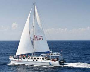 Day Cruise to Lembongan