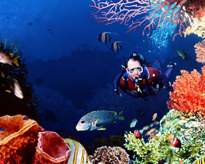 Scuba Diving Trip