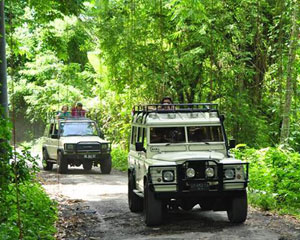 Jeep Safari Tour